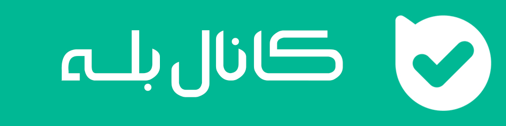 شبکه های اجتماعی